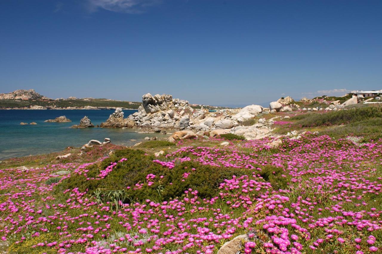 Cuore Di Sardegna
