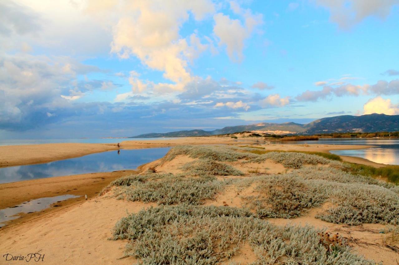 Cuore Di Sardegna * Valledoria (Sardinia)